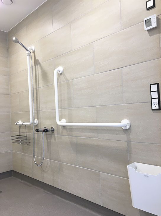 grab rails for accessible bathroom