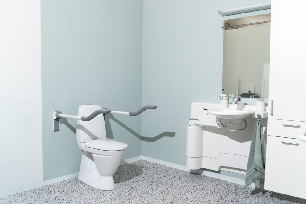 toilet support arms and washbasin in disabled bathroom